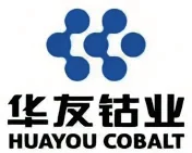 Hu Bei Hua Long logo