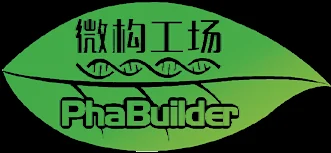 Wei Gou logo